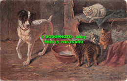 R479136 Barn. Dog And Four Cats. S. Hildesheimer - Wereld