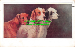 R479139 Three Dogs. Geo. Falkner. Emmanell Series Of Canine. A. Duke. 1904 - Wereld