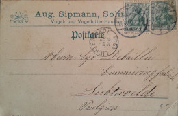 Zomerzegel Nr 866 / Maximumkaart / St Servaasbrug Op Postkaart Van MAASTRICHT - Lettres & Documents