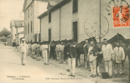 CPA-CASTRES* Caserne * Artillerie*Les Ecuries -Le Pansage Des Chevaux *Edit. Raynaud; Bazar Du Mail *écrite En 1913 *TOP - Castres