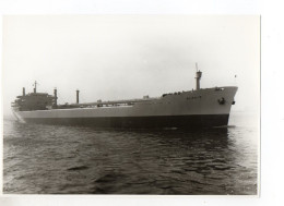 C1251/ Frachter Handelsschiff Tanker Alnair  Foto Ca.1965 22 X 15,5 Cm - Comercio