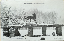 C. P. A. : 88 : RAMBERVILLERS : Le Loup De Métendal, Sous La Neige, En 1917 - Rambervillers