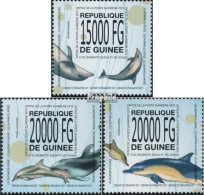 Guinea 10117-10119 (kompl. Ausgabe) Postfrisch 2013 Delfine - Guinée (1958-...)