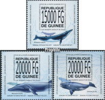 Guinea 10113-10115 (kompl. Ausgabe) Postfrisch 2013 Wale - Guinea (1958-...)