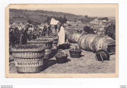 51 LE MESNIL SUR OGER Vers Epernay N°4 Scène De Vendanges MOËT & CHANDON Vin Vignes Paniers Raisin VOIR DOS - Epernay