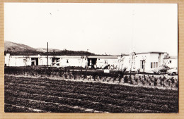 07581 ● Rare GROOT VALKENISSE BIGGEKERKE Zeeland HUIZE MARTINA Café Verhuur Gem Apartementen 1960s Carte-Photo - Veere