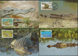 Palau 1994 Y&T 618 à 621 Sur Cartes Maxima. WWF, Reptiles. Crocodylus Porosus, Le Crocodile Marin Ou Crocodile De Mer - Autres & Non Classés