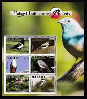 MALAWI 2018 INDIGENOUS BIRDS OFFICIAL ISSUE - Otros & Sin Clasificación