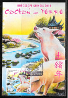 C481 - HOROSCOPE CHINOIS LE COCHON SUR CP PREMIER JOUR DE PAPEETE DU 05/02/19 - Lettres & Documents