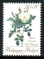 België 2355 (uit BL66) - Neufs