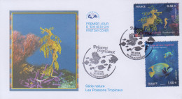 Enveloppe  FDC  1er  Jour    FRANCE   Poissons  Tropicaux   MAMOUDZOU   2012 - 2010-2019