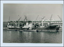 DP119/ Frachter Brandenburg Und Schlepper Im Hafen Schiffe Foto AK Ca. 1950 - Handel