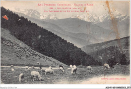 ACOP1-65-0038 - VALLEE D'AURE - Col D'aspin - Les Paturages Et Le Pic Du Midi - Vielle Aure