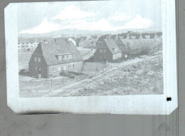 Neg0511/ Hörnum Sylt Original-Negativ 60er Jahre - Sylt