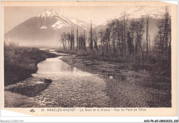 ACOP6-65-0602 - ARGELES-GAZOST - Le Gave Et Le Viscos - Vue Du Pont De Tillos - Argeles Gazost