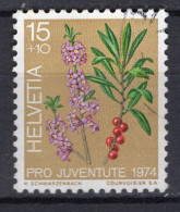 T3025 - SUISSE SWITZERLAND Yv N°972 Pro Juventute - Used Stamps