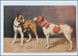 T4200/ Bulldogge Hunde AK Ca.1912 - Cani