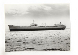 C1262/ Frachter Handelsschiff Tanker Gulf Italian Foto Ca.1965  21,5 X 15,5 Cm - Handel