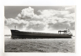 C1263/ Frachter Handelsschiff Tanker Sighansa Foto Ca.1965 22,5 X 15 Cm - Comercio