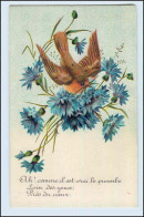 W5J94/ Vogel Singvogel Litho Prägdruck AK Ca.1910 - Cani