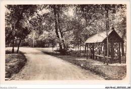 ADXP8-62-0731 - STELLA-PLAGE - Un Sous-bois - Montreuil