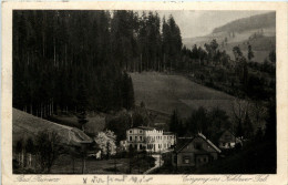 Bad Reinerz - Schlesien