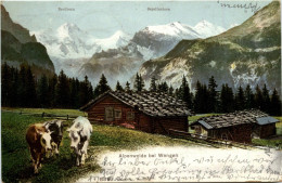 Alpeneide Bei Wengen - Wengen