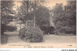 AFWP3-70-0265 - La Haute-saône Illustrée - GRAY - Jardin Du Château - La Tour - Gray