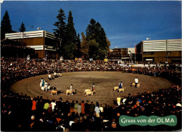 St. Gallen - Olma - Sankt Gallen