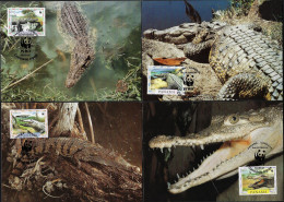 Panama 1997 Y&T 1138 à 1141 Sur Cartes Maxima. WWF, Reptiles. Crocodylus Acutus Ou Crocodile Américain - Otros & Sin Clasificación