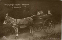 Die Söhne Des Herzogs Von Braunschweig - Koninklijke Families