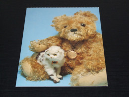 74880-    BEREN / BEARS / BÄREN / OURS / ORSI / TEDDYBEARS - Games & Toys