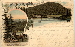 Gruss Vom Wiesenbeeker Teich Bei Lauterberg - Litho - Bad Lauterberg