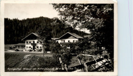 Alpengasthof Widauer Am Hintersteinersee B.Kufstein - Kufstein