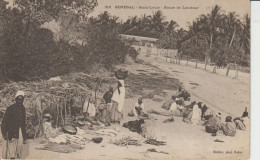 2417-214 Av 1905 N°316 Sénégal St Louis Rte De Lambsar  Fortier Photo Dakar   Retrait 11-05 - Senegal