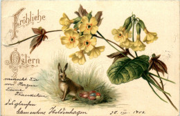 Ostern - Hase - Pâques