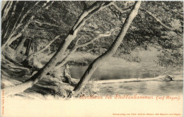 Rügen - Herthasee Bei Stubbenkammer - Rügen