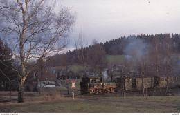 Schmalspurdampflokomotive 99 1561bei Schönheide - Trenes