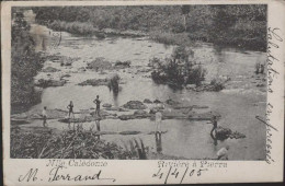 Nouvelle Calédonie Rivière à Pierra - Nouvelle-Calédonie