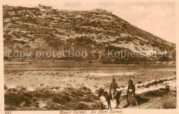 73799672 Mount Carmel Mont Carmel Israel Le Mont Carmel  - Israël