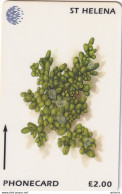 ST. HELENA ISL.(GPT) - Flowers Of St.Helena/Baby"s Toes, CN : 175CSHC/B, Tirage 1000, Mint - Isla Santa Helena