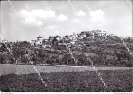 Aq565 Cartolina Ancarano Panorama Provincia Di Chieti Abruzzo - Chieti