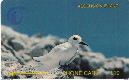 ASCENSION ISL.(GPT) - Fairy Tern, CN : 2CASB/B, Tirage 4997, Used - Ascension (Insel)