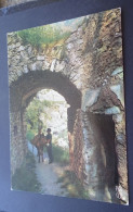 Scène Rypique De Provence - Editions Photoguy, Distr. S.E.P.T., Nice - Provence-Alpes-Côte D'Azur