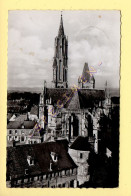 60. SENLIS - Abside De La Cathédrale (voir Scan Recto/verso) - Senlis