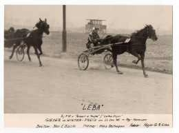 C949/ Trabrennen Hamburg Farmsen Foto 1946 "Leba" Major G.R. Sims - Wandsbek