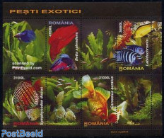 Romania 2005 Exotic Fish 4v M/s, Mint NH, Nature - Fish - Ungebraucht