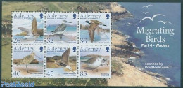 Alderney 2005 Migrating Birds 6v M/s, Mint NH, Nature - Transport - Birds - Ships And Boats - Barcos