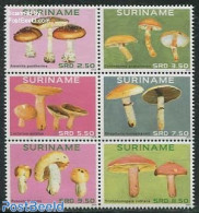 Suriname, Republic 2014 Mushrooms 6v [++], Mint NH, Nature - Mushrooms - Paddestoelen