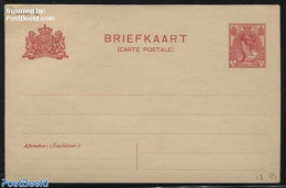 Netherlands 1910 Postcard 5c, Dutch Text Above French Text, Short Dividing Line, Unused Postal Stationary - Cartas & Documentos